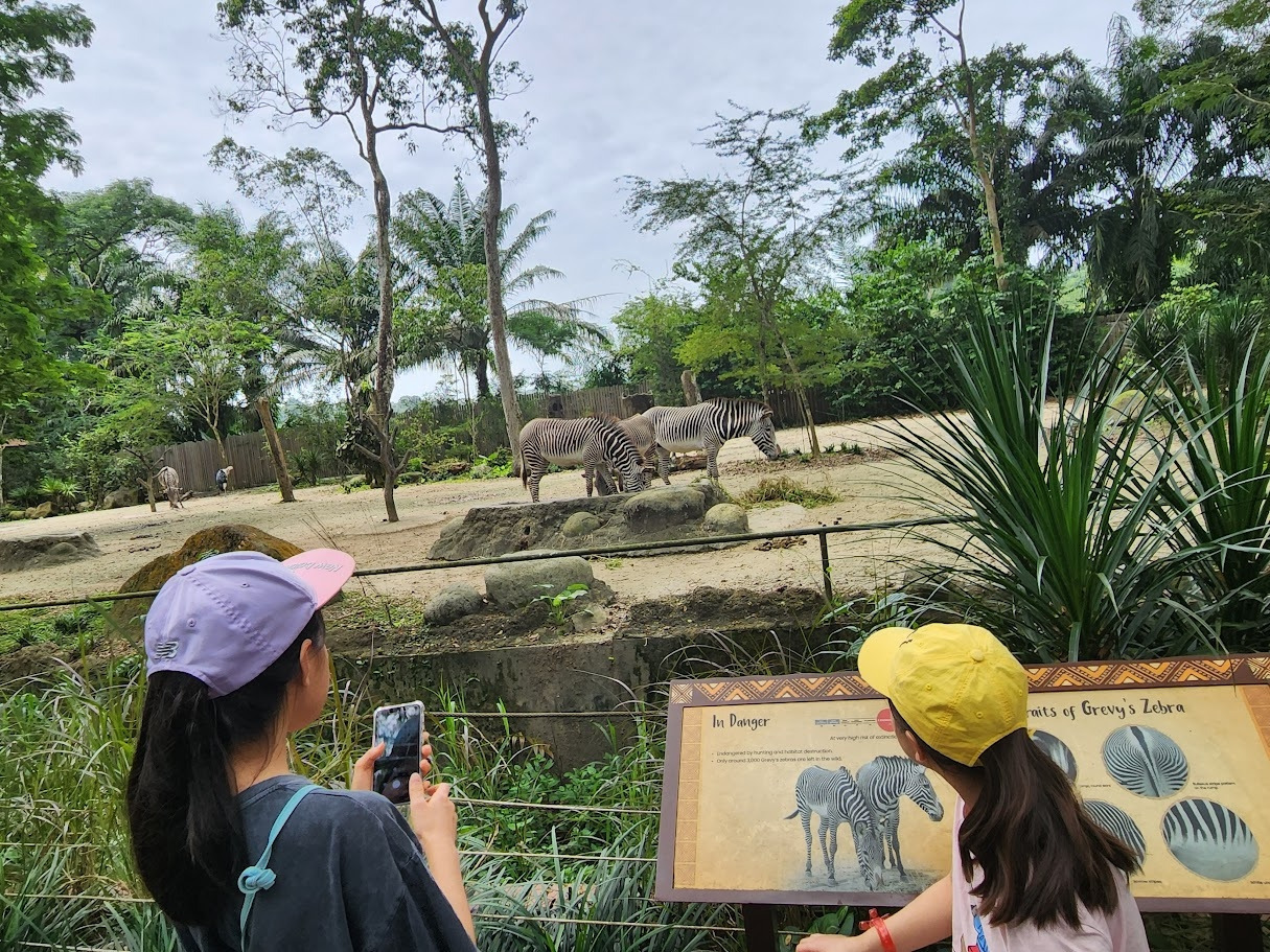 다운로드 (2).jpg