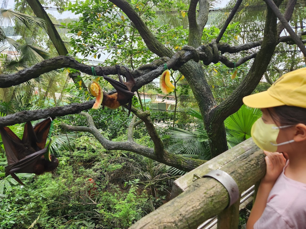 다운로드 (5).jpg