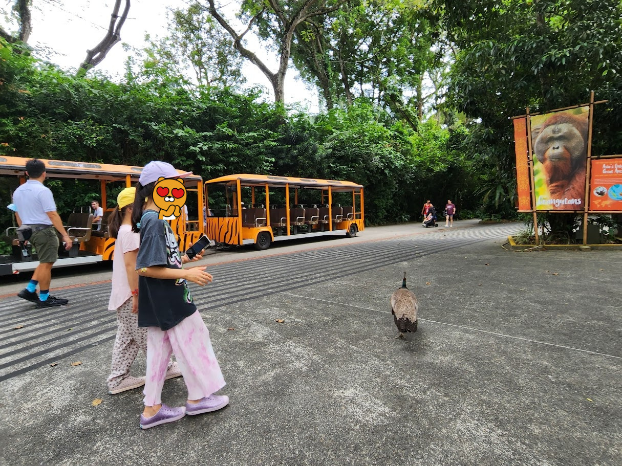 다운로드 (1).jpg