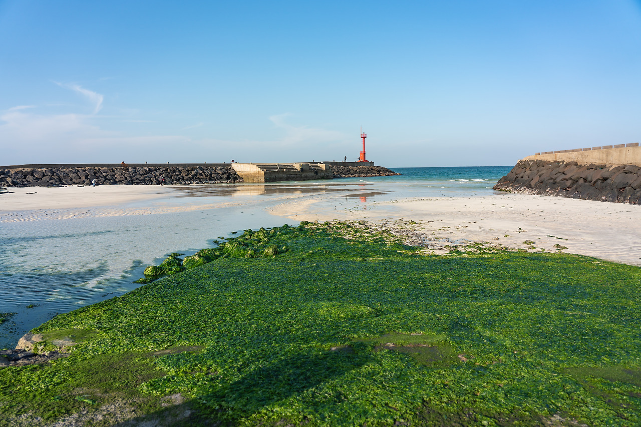20201114 제주도 DSC04375.jpg