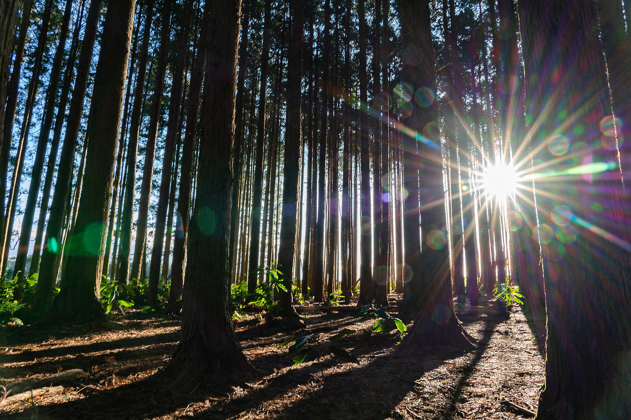 20201124 제주도 DSC05120.jpg