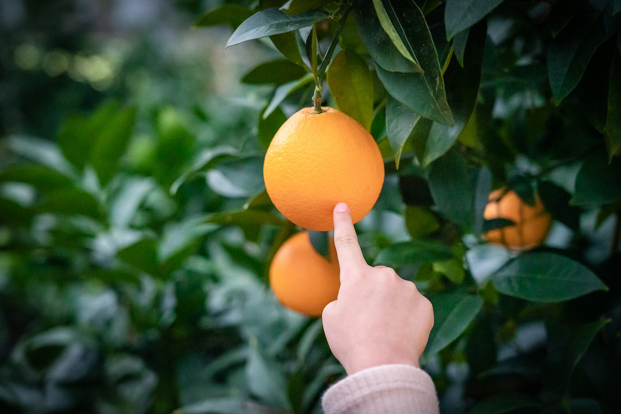 20201122 제주도 DSC04737.jpg
