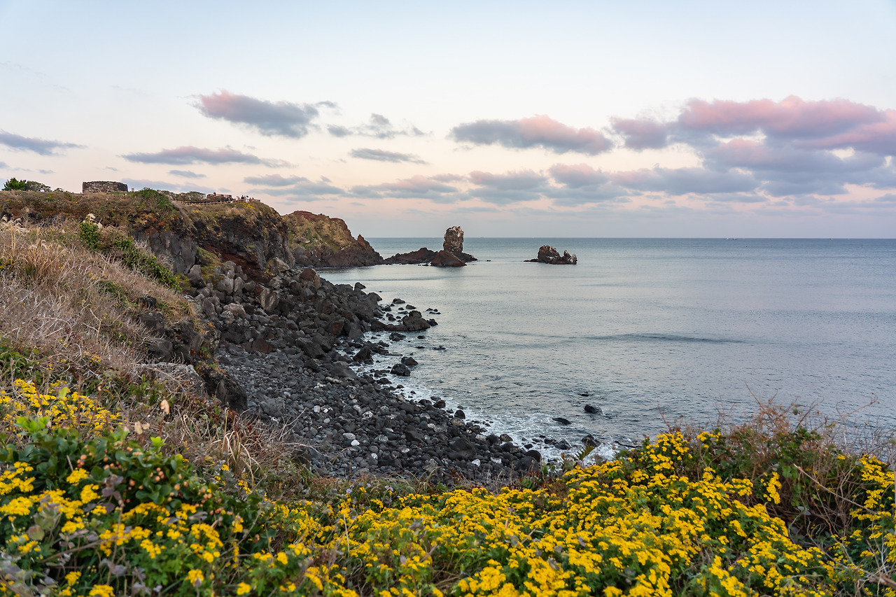 20201123 제주도 DSC04976.jpg