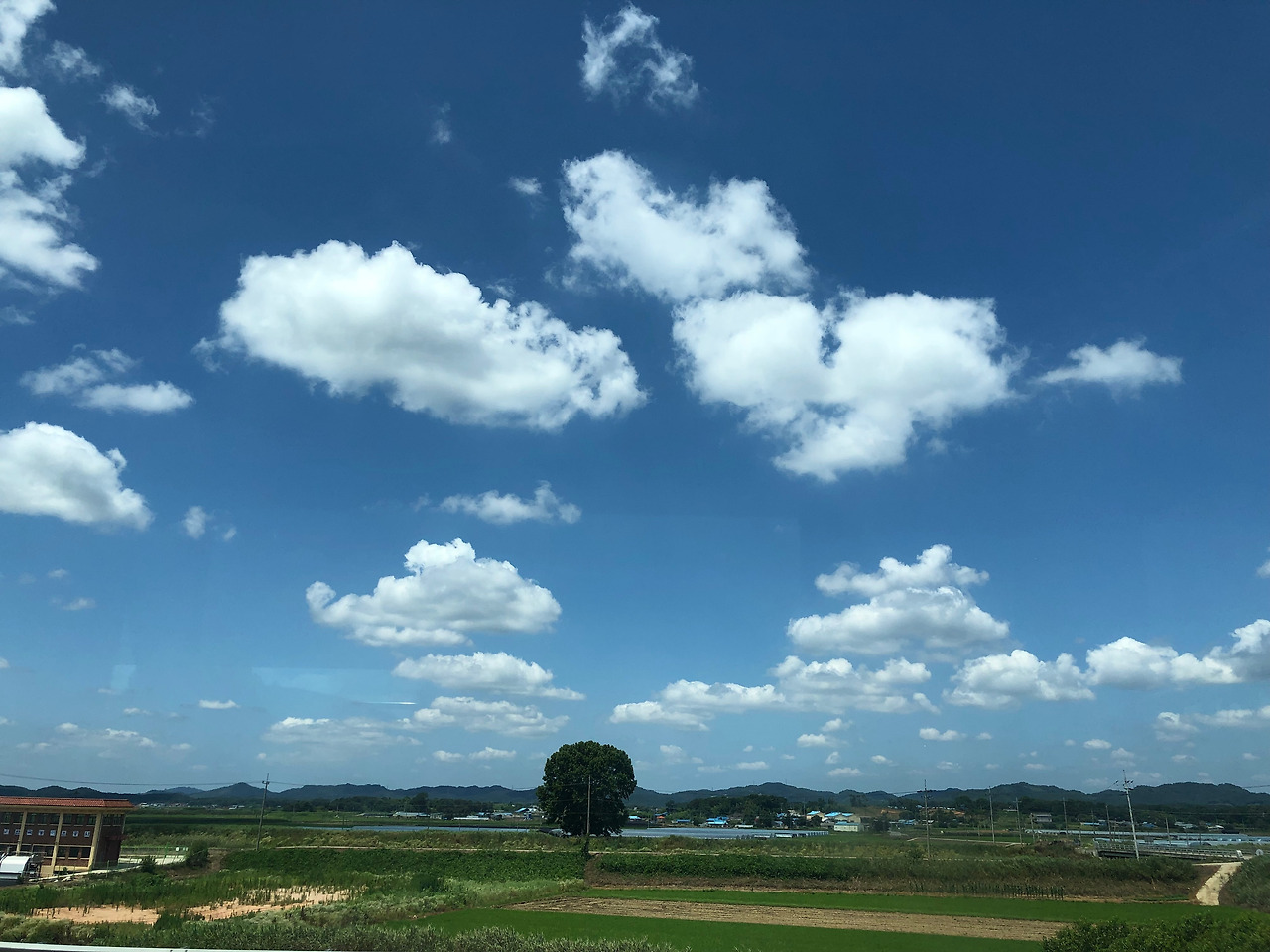 사진자료 (277).jpg