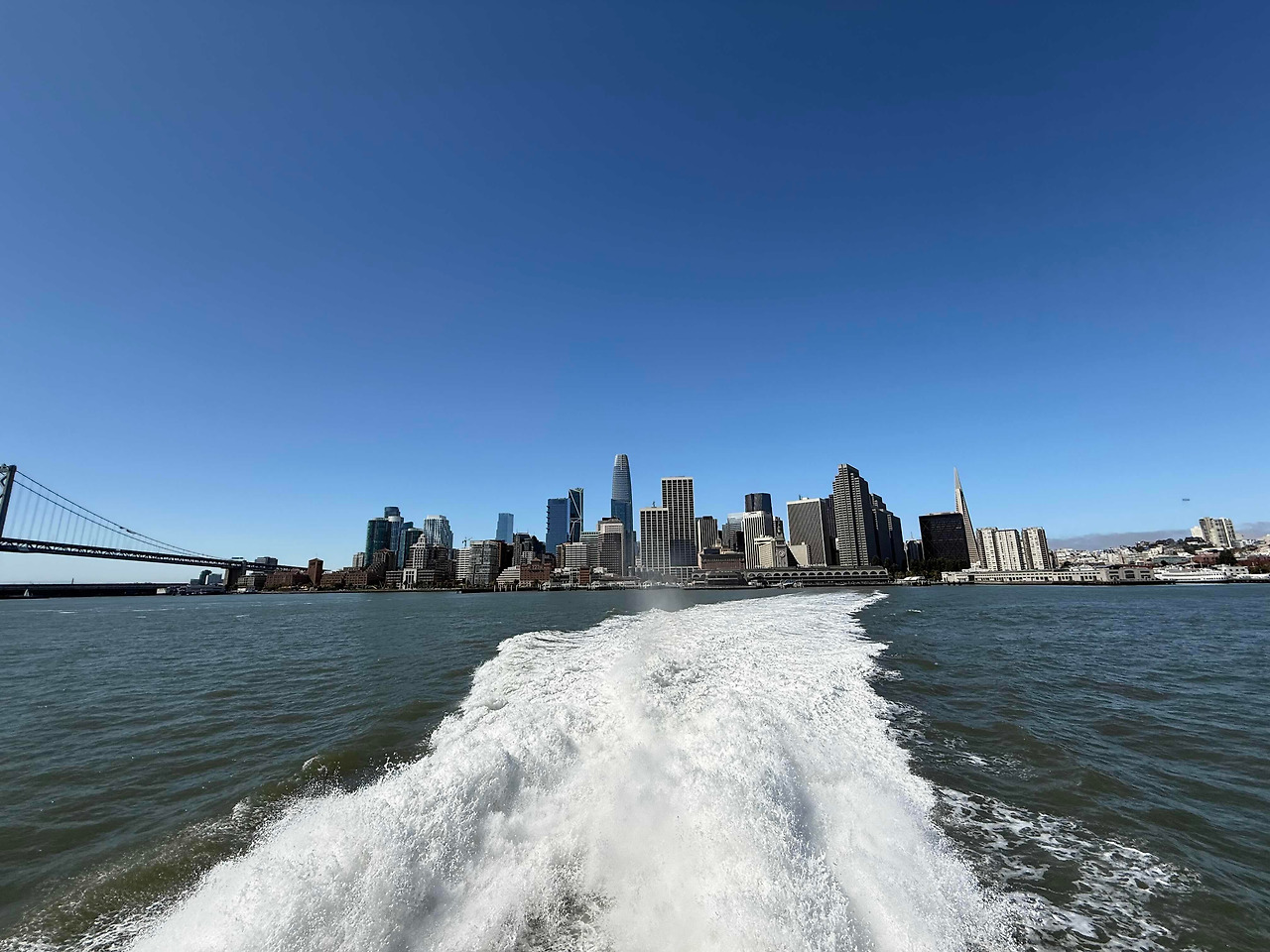 239 VC의 야성과 투자자로서 의무의 줄다리기