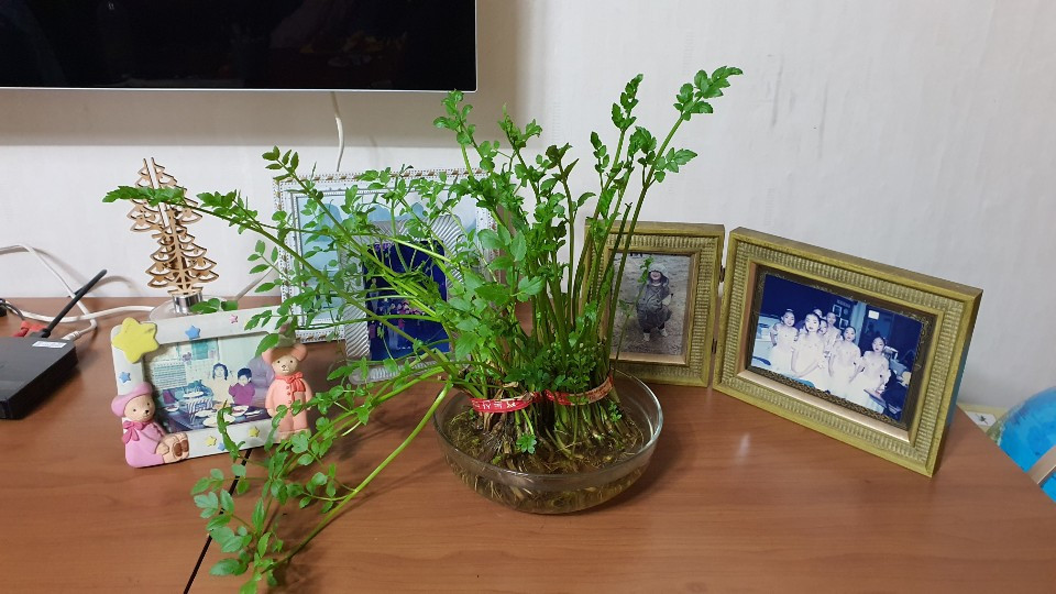 KakaoTalk_20210102_072244815_06 (2).jpg