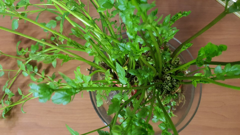 KakaoTalk_20210102_072244815_02 (2).jpg