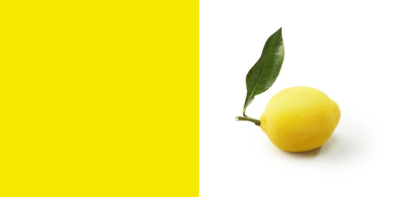 41084103b58e44335d7a26824ca7d305 사본.jpg