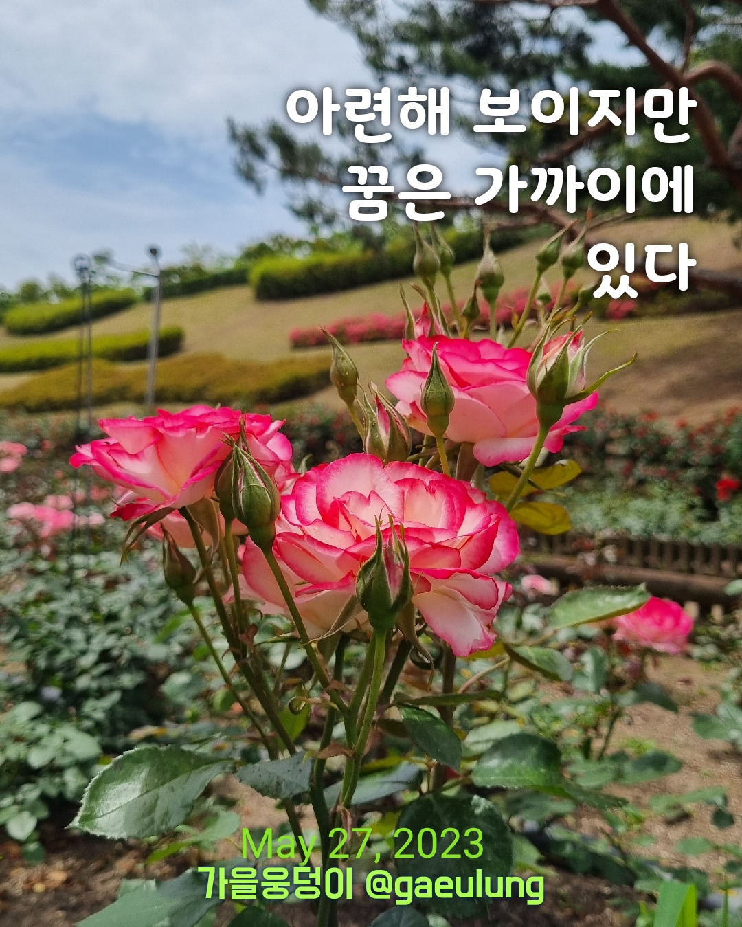 KakaoTalk_20230527_192248159.jpg