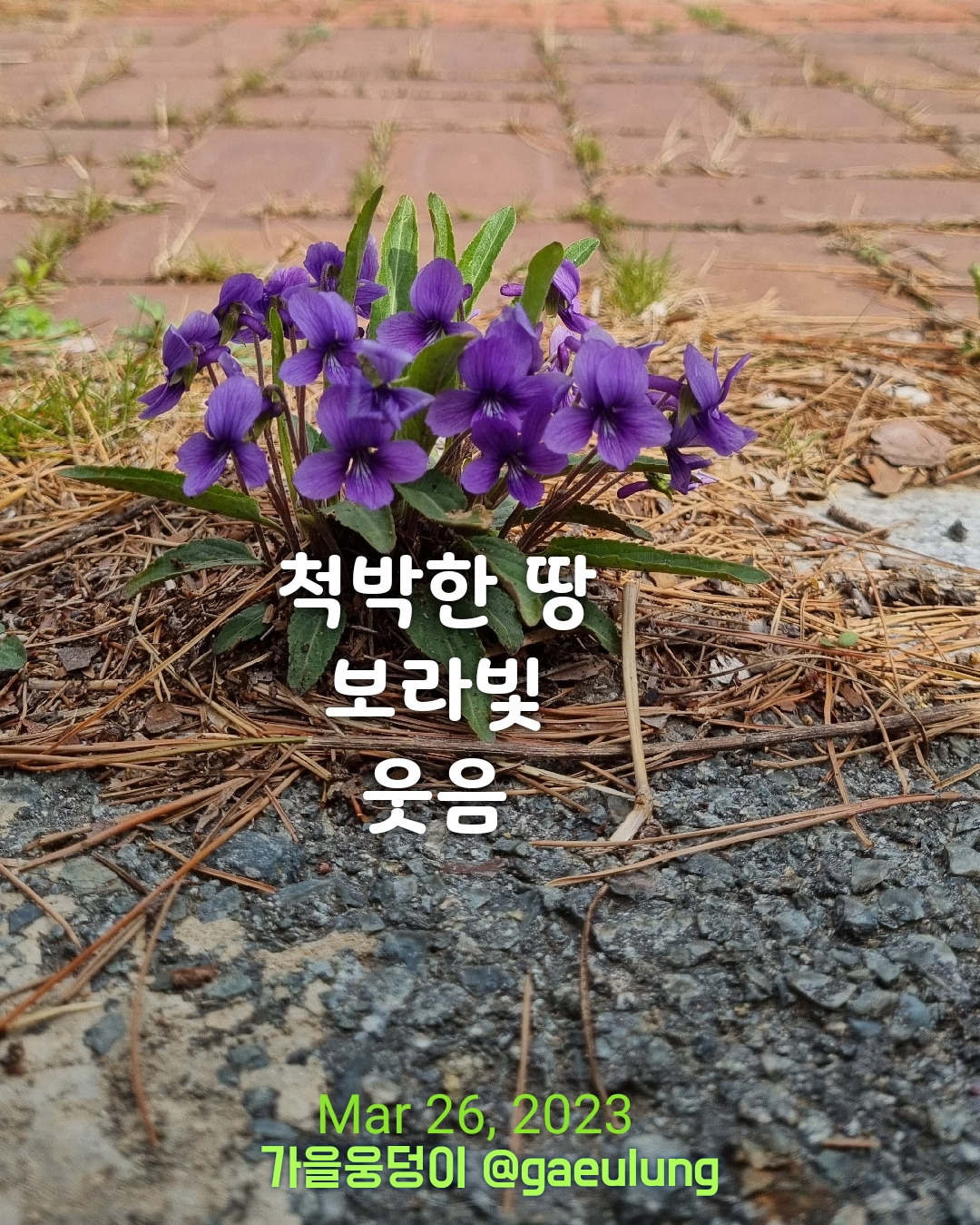 KakaoTalk_20230418_201924113_23.jpg
