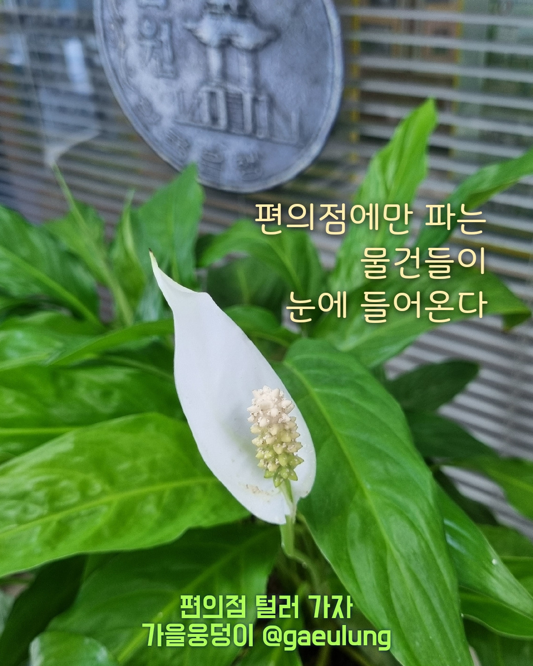 KakaoTalk_20230801_223546254.jpg