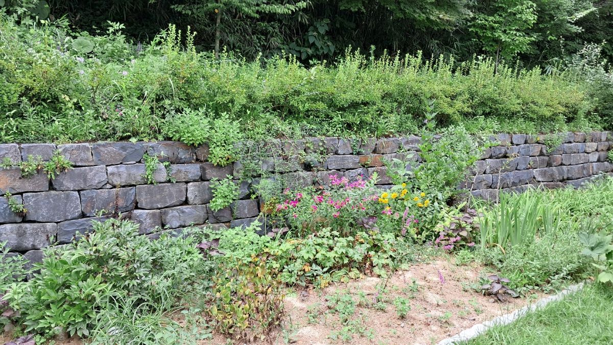 풀꽃문학관 뒤뜰.jpg