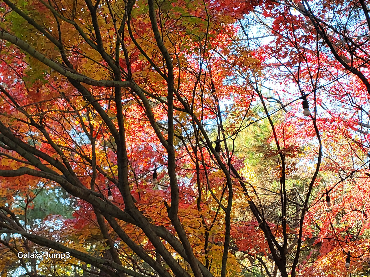 2025년 11월 15일 김포시 사우동.jpg