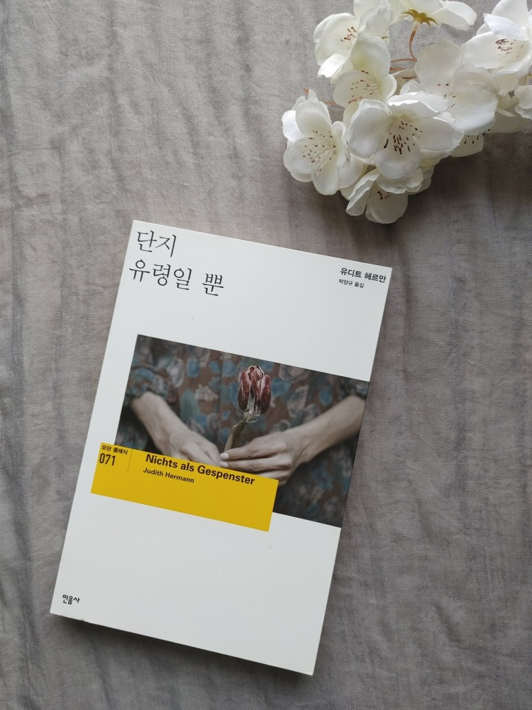 단지 유령일뿐.jpg