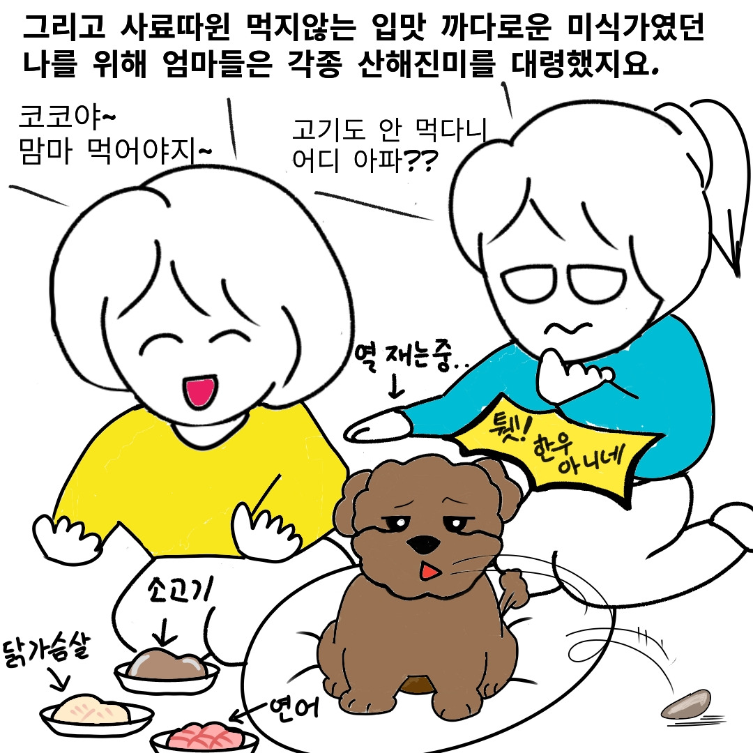 사본 -export202302151948509104.jpg