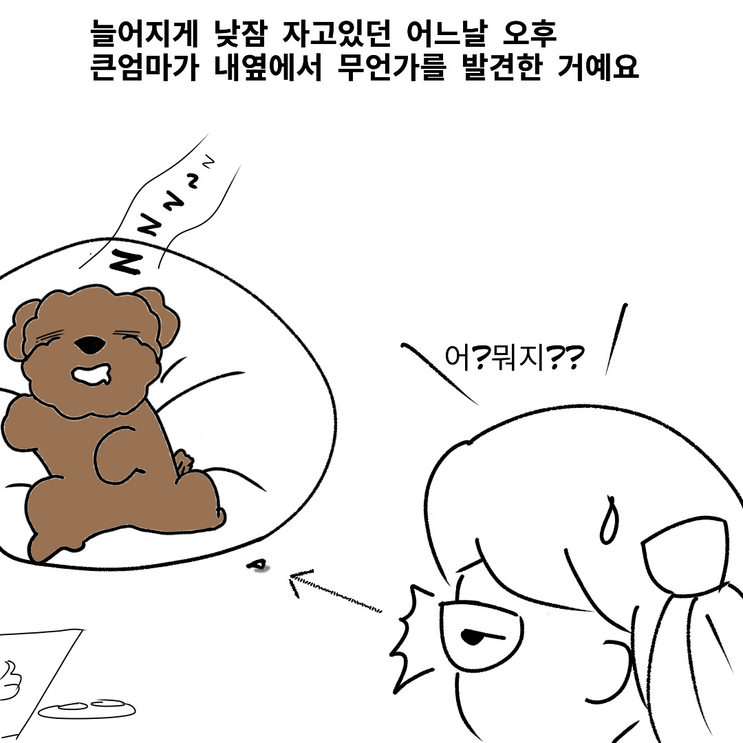 사본 -export202302151951103192.jpg