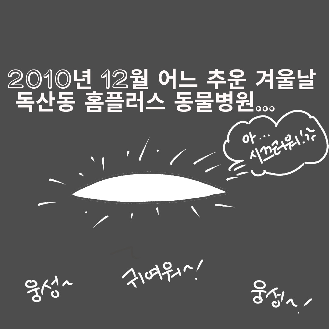 사본 -export202301271517529053.jpg