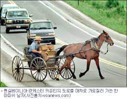 아미쉬.jpg