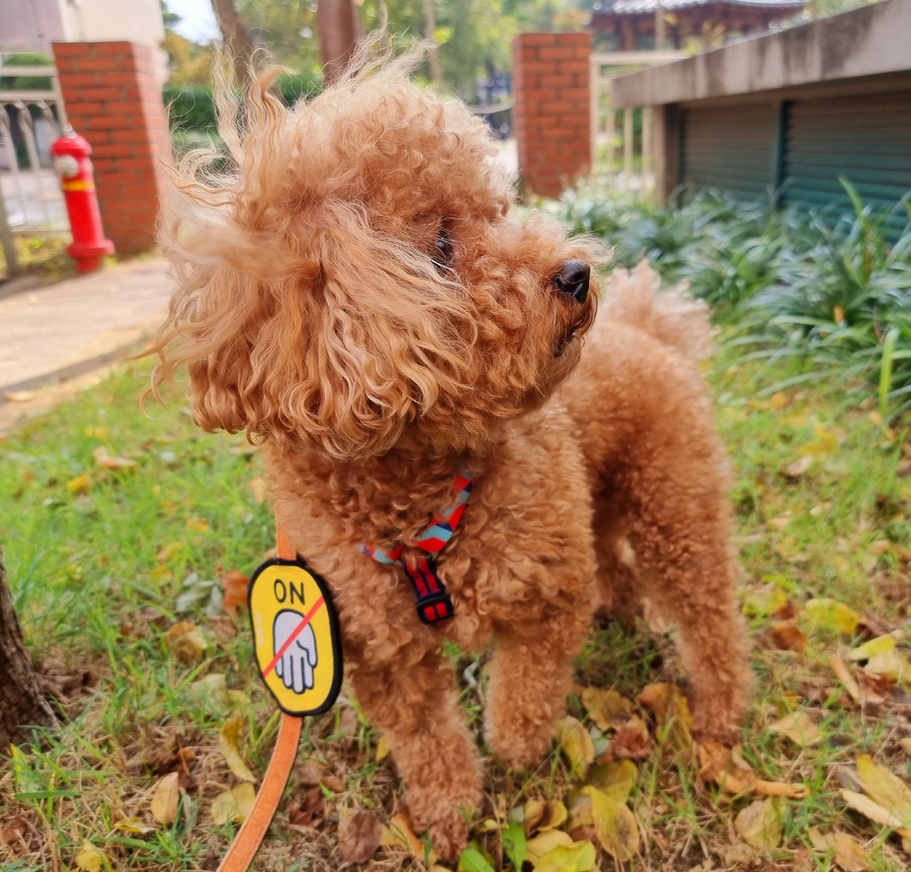 통통한보리1 (3).jpg