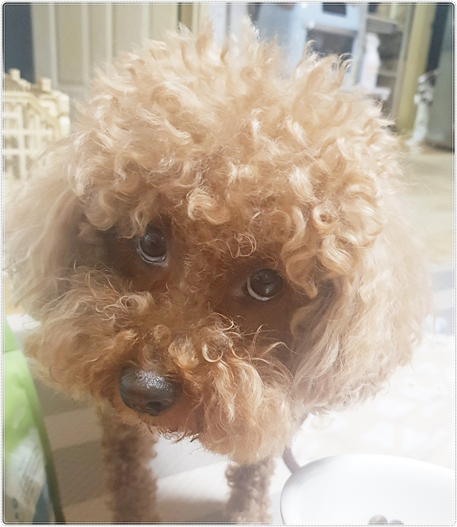 화났어요1 (5).jpg