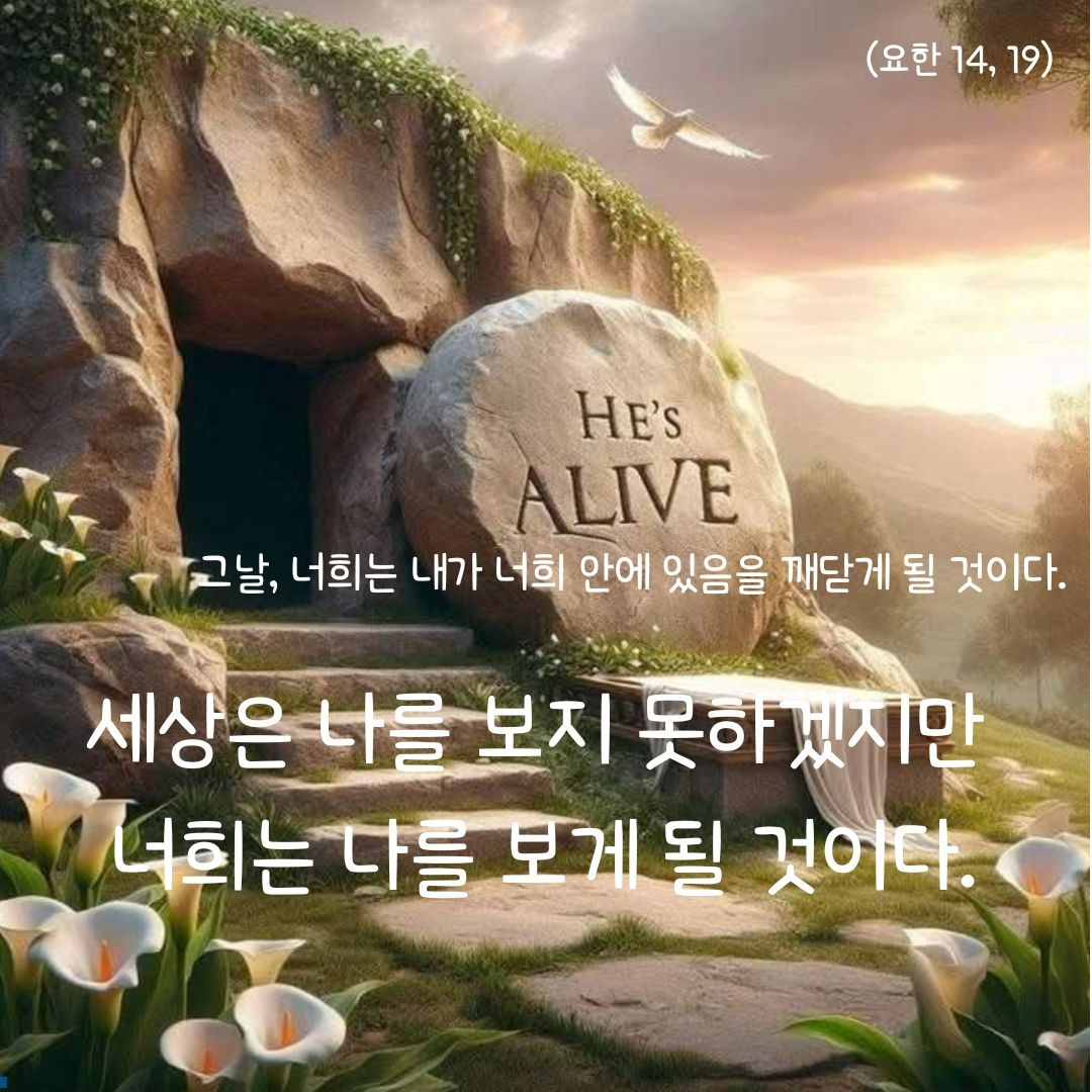 요 14, 19.jpg