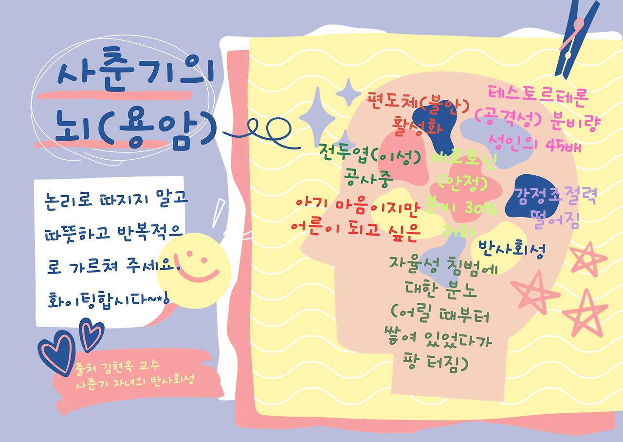 10대 딸을 둔 엄마를 위한 정보.jpg