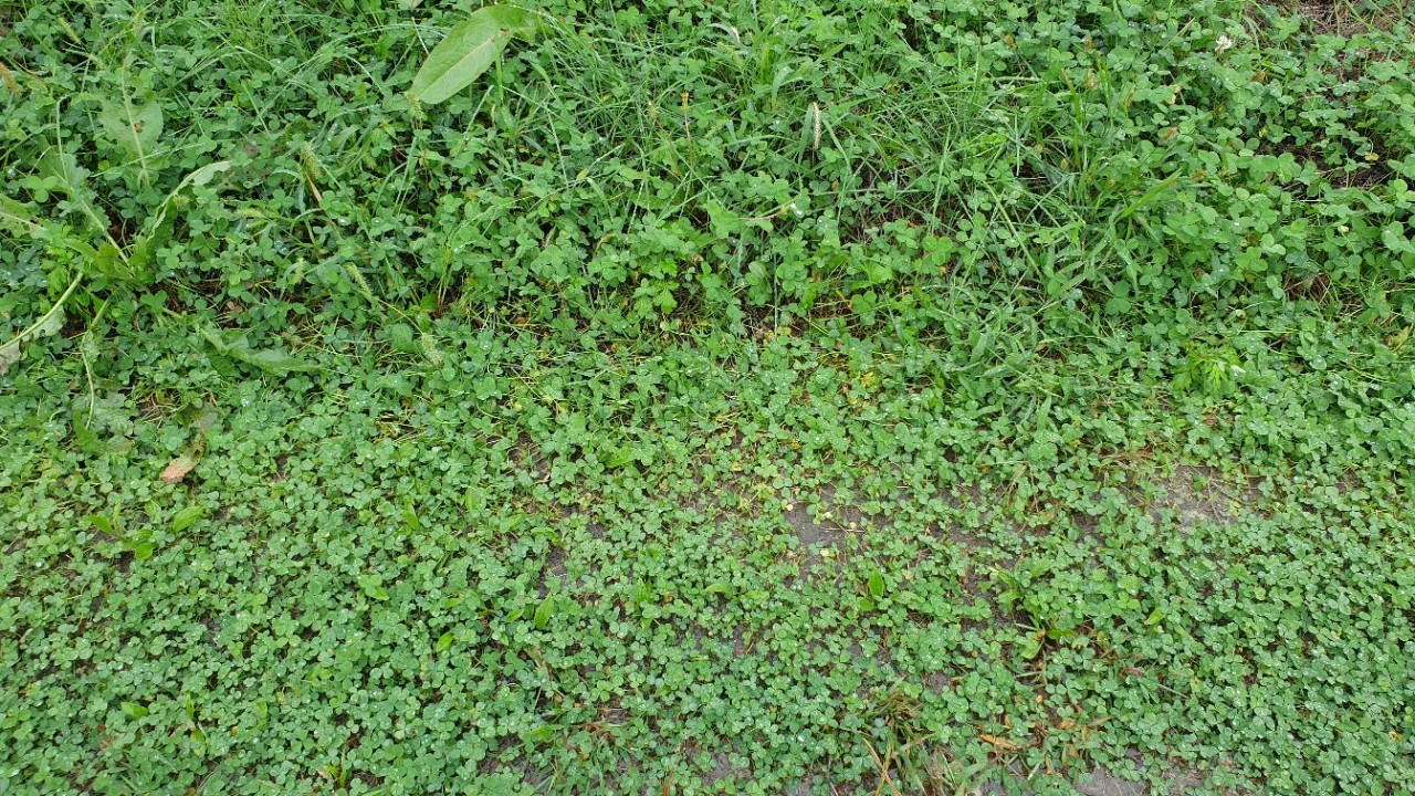 20210907＿123540 (1).jpg