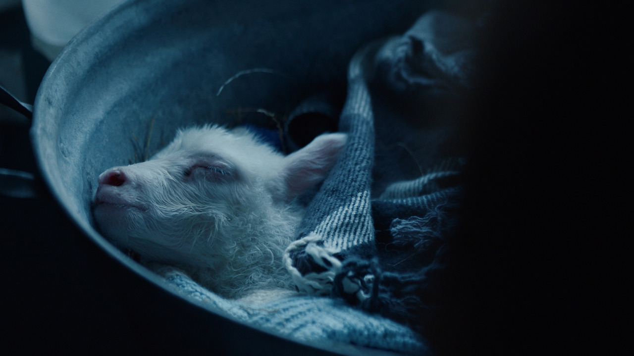 movie_image (13).jpg