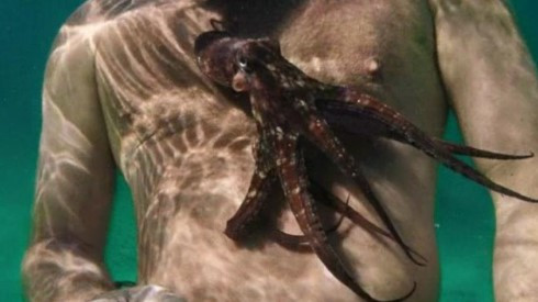 화면 캡처 2021-12-30 165312.jpg