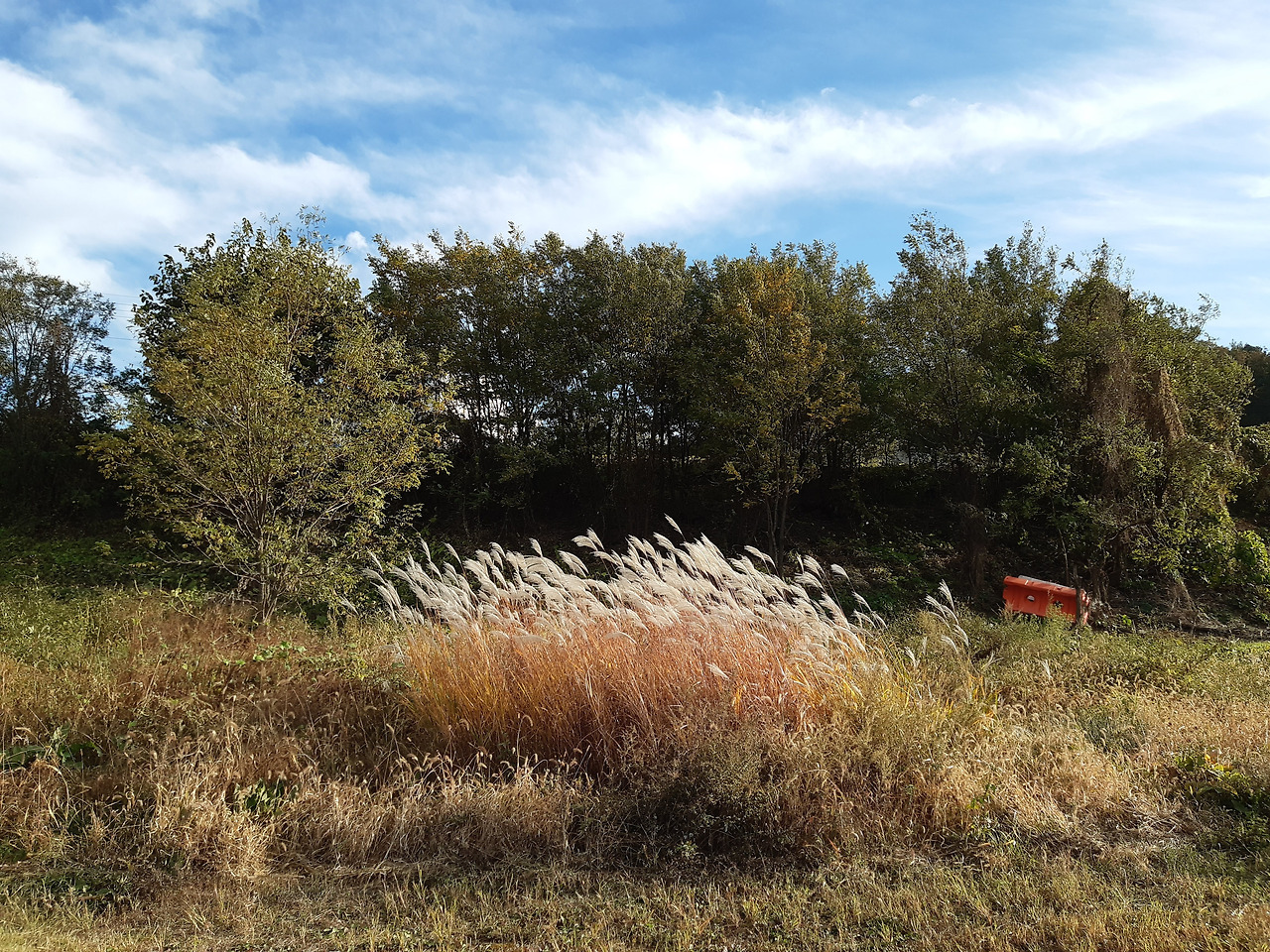 금호강 20201025_154146.jpg