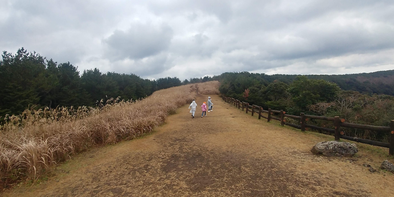 제주 오름 20201129_113227_HDR.jpg