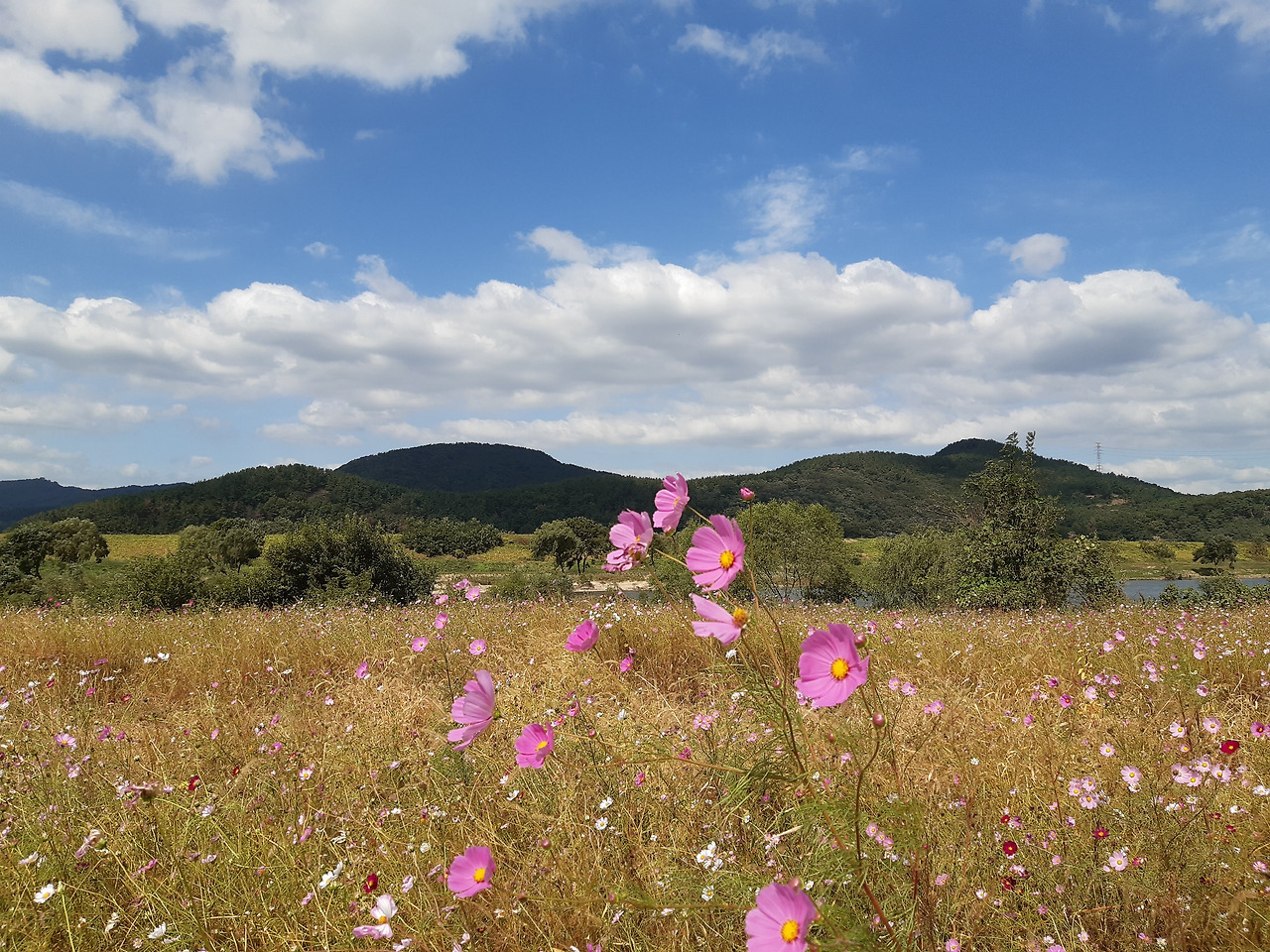 금호강 20201009_120420.jpg