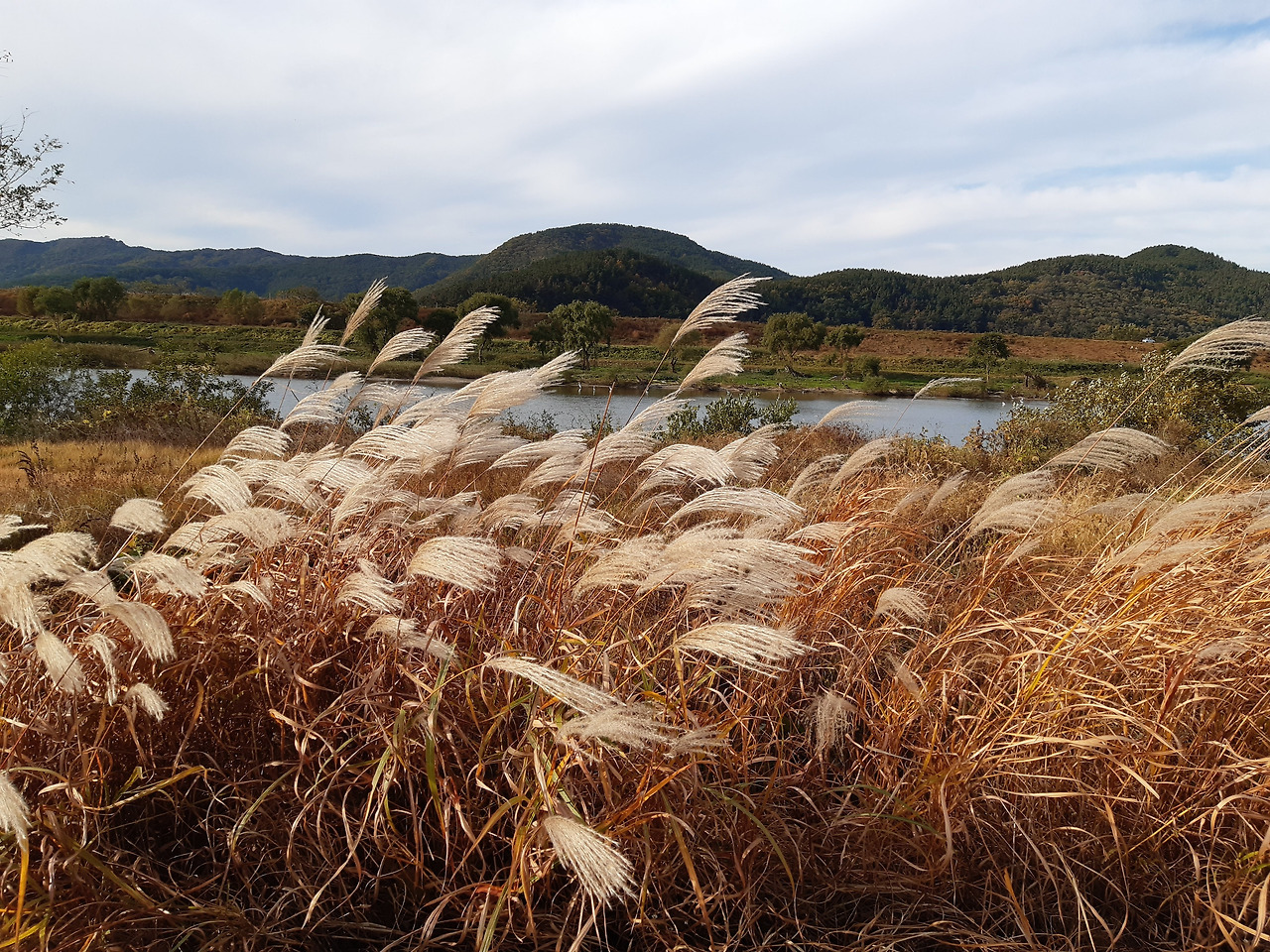 금호강 20201025_154358.jpg