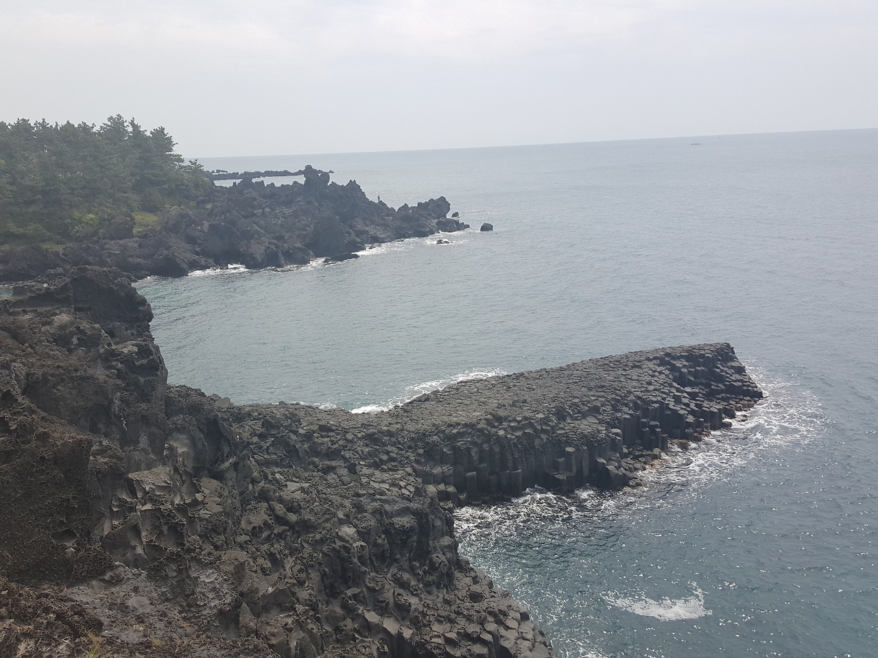 20160418_120308.jpg