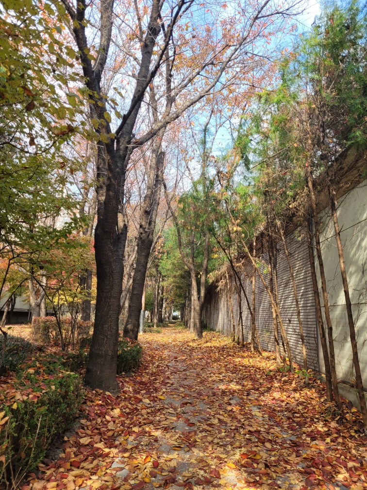 소소5 나의 오솔길.jpg