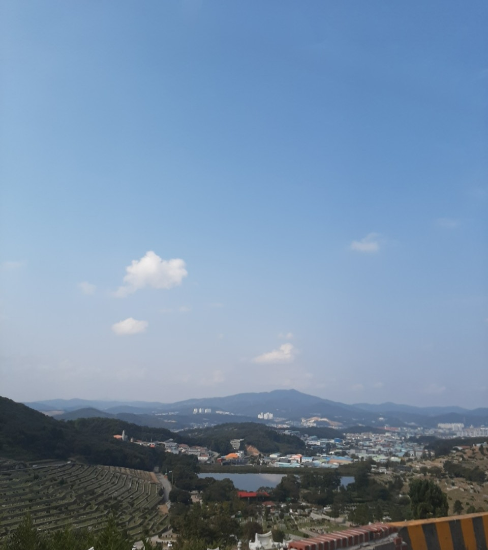 소소17 가족파묘5.jpg