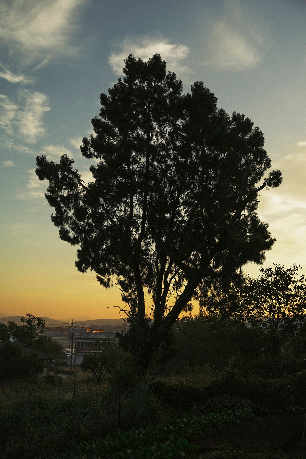 DSC00050-3 복사.jpg