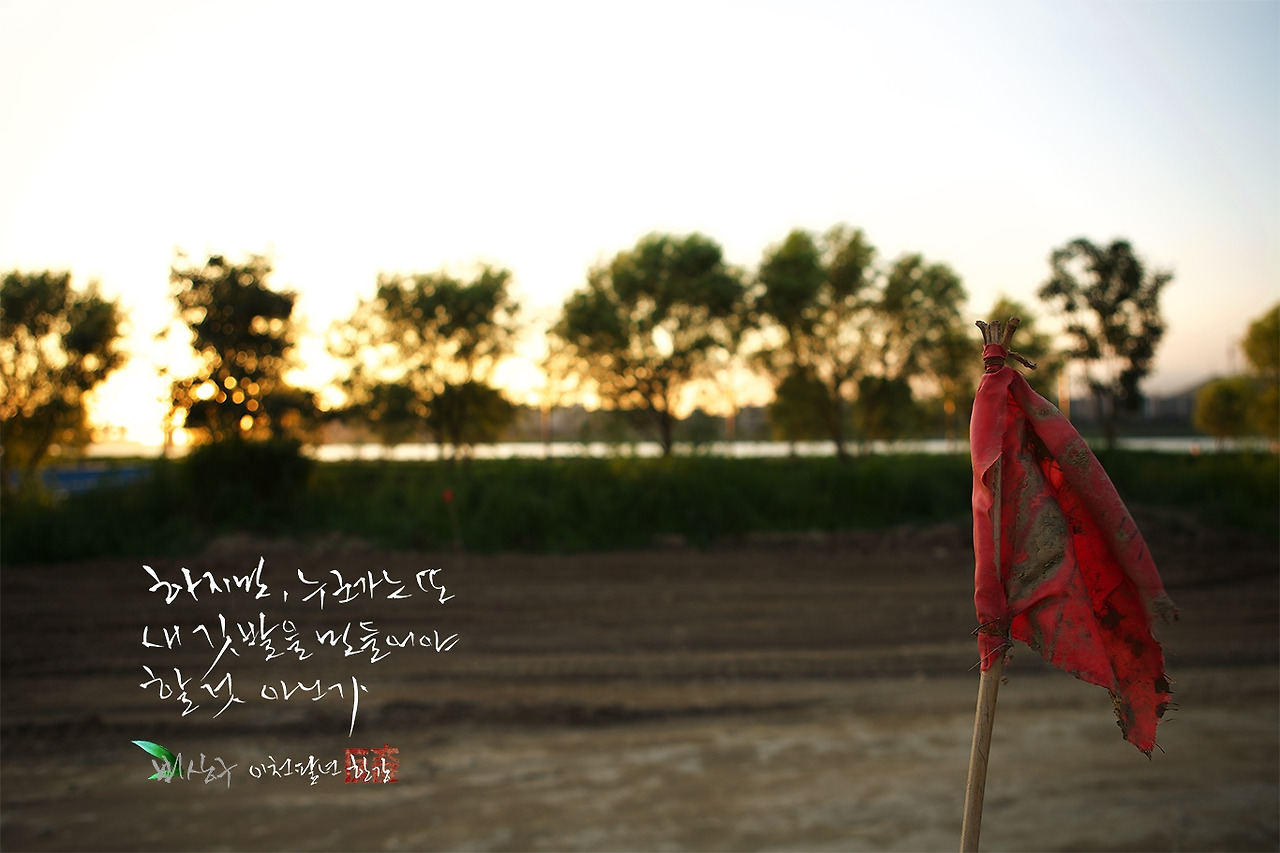 비상구 : 새 깃발 복사.jpg