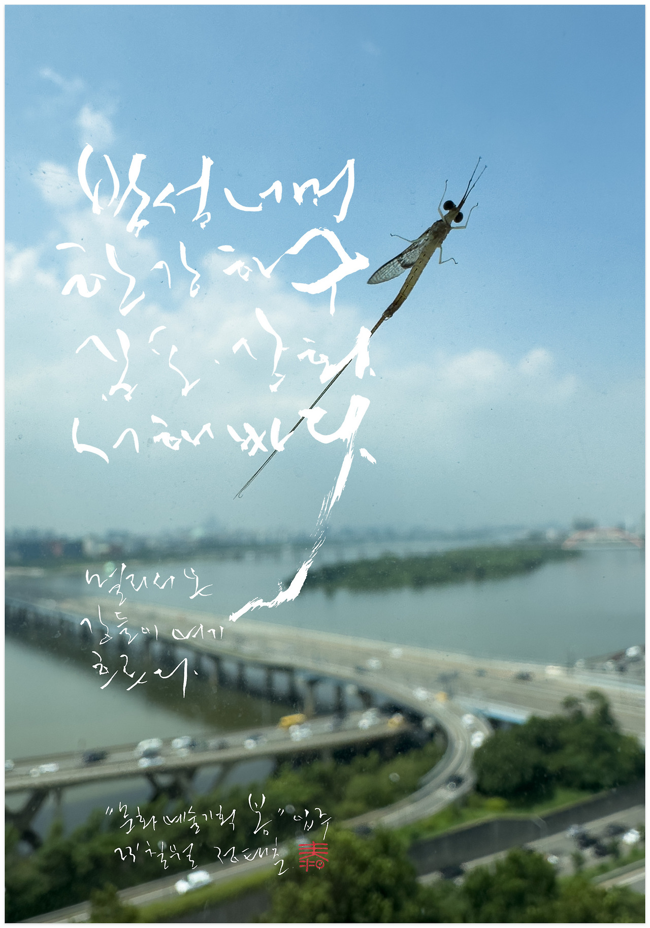 봄 사무실 전경.jpg