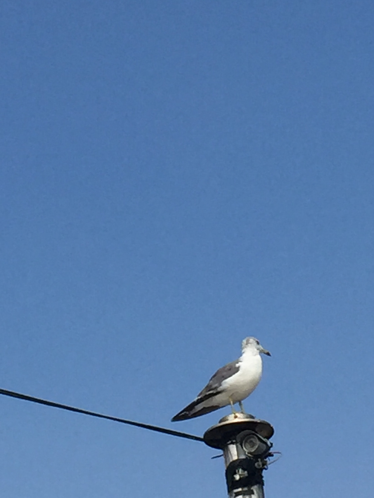 2015.8.17은희폰 705.jpg