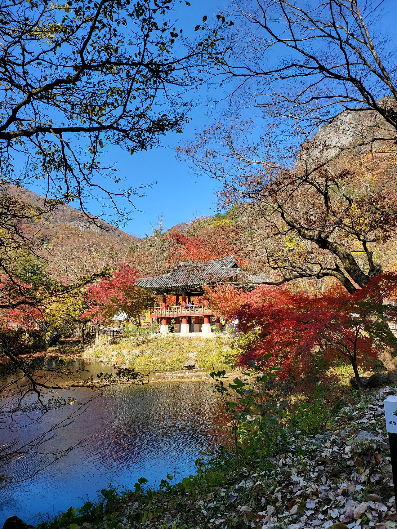 쌍계루 가을.jpg