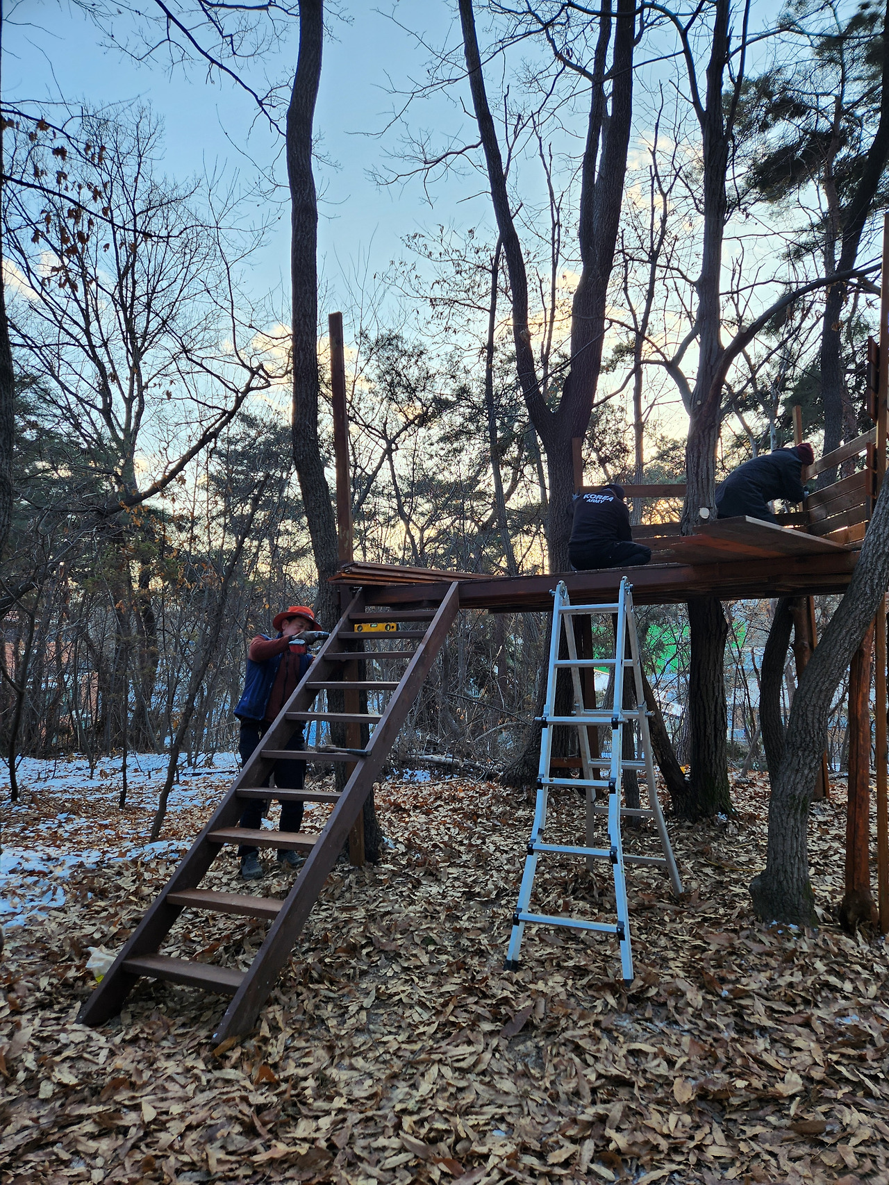 트리하우스.jpg
