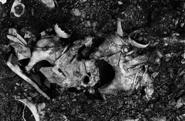 화면 캡처 2021-08-25 142746.jpg