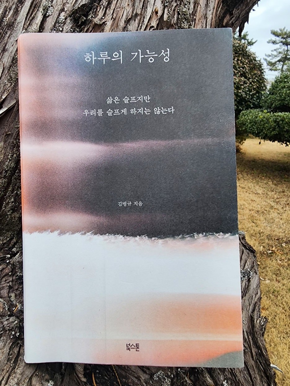 무료 카지노 게임
