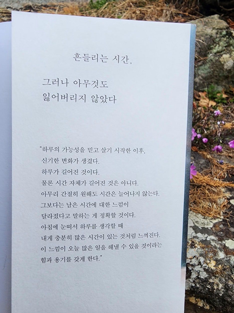 무료 카지노 게임