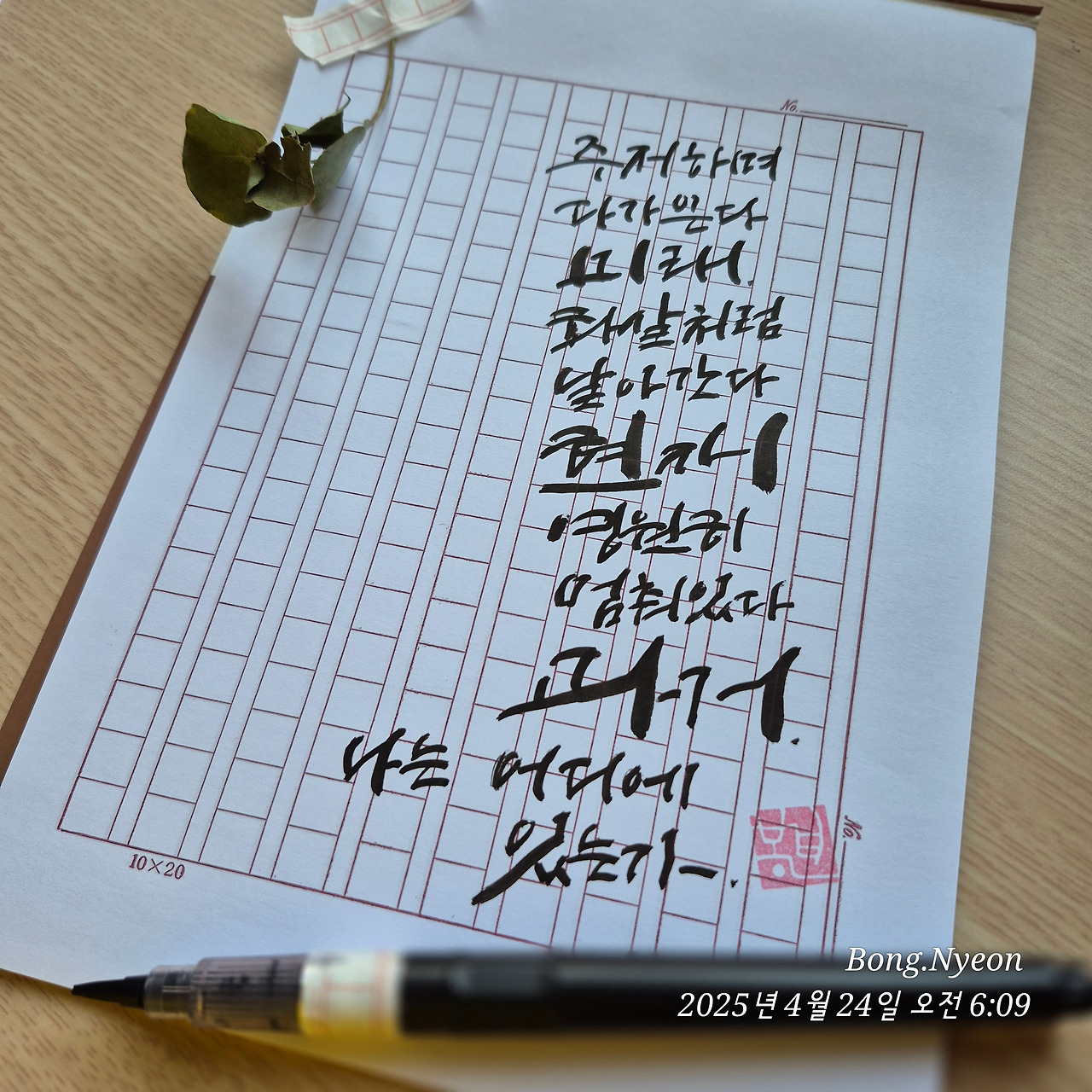 카지노 게임 추천