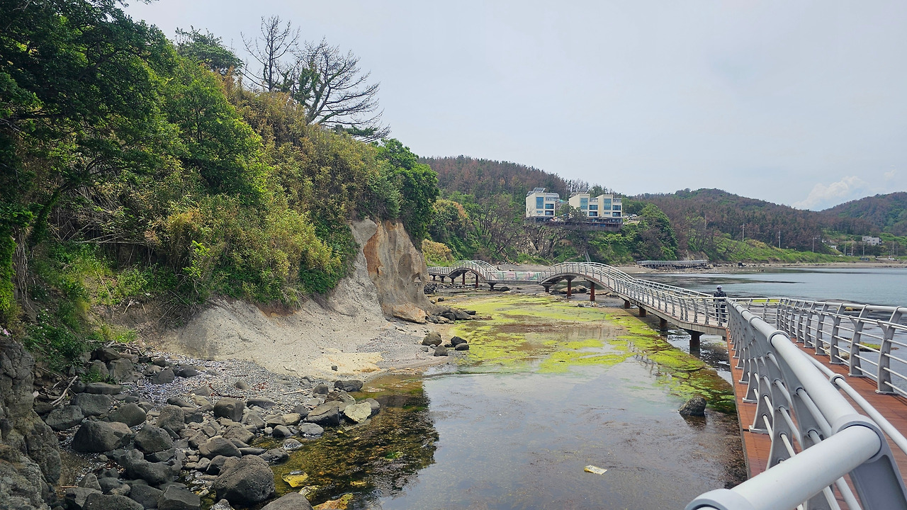 해파랑길 16코스.jpg