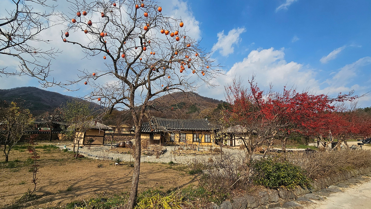 47코스 왕곡민속마을.jpg