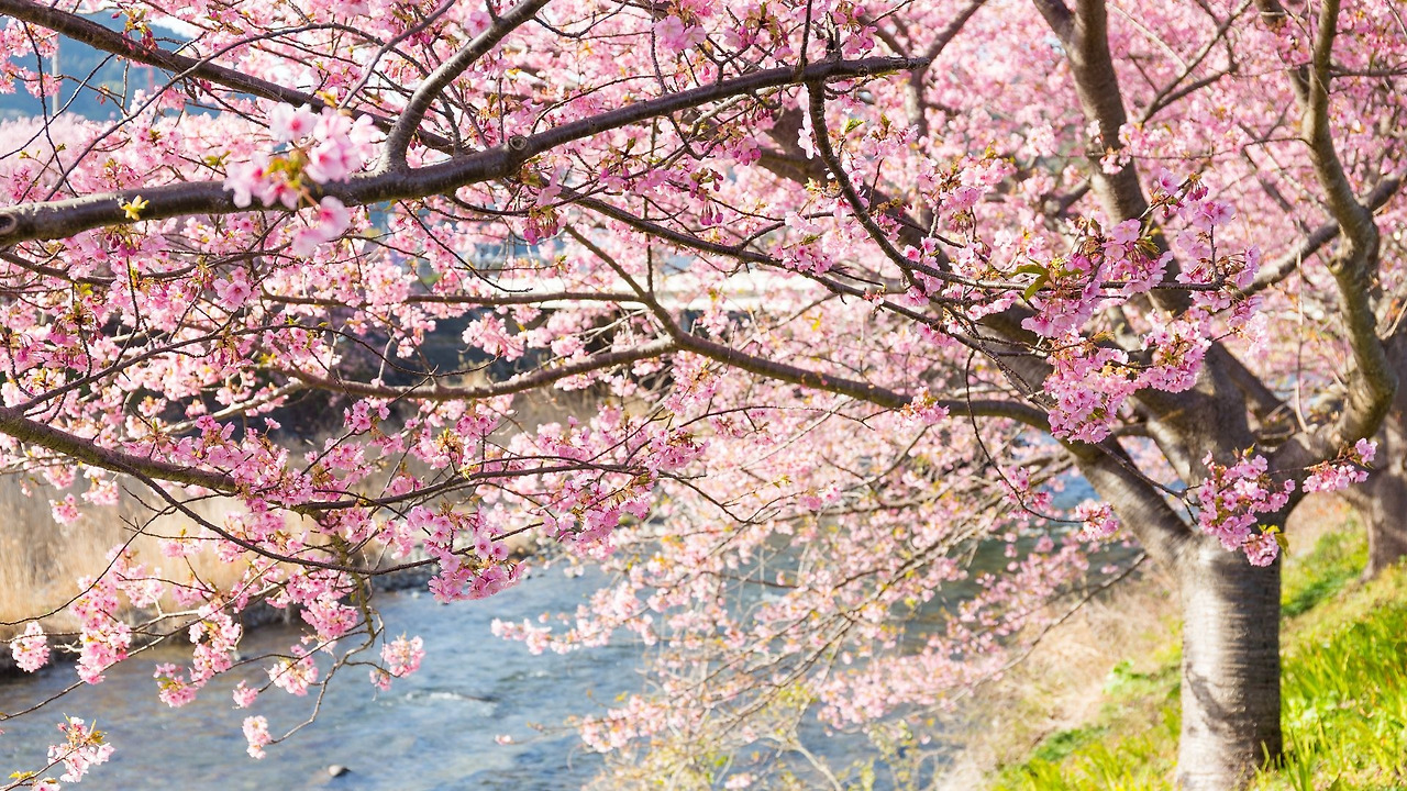 제목 없는 디자인.jpg