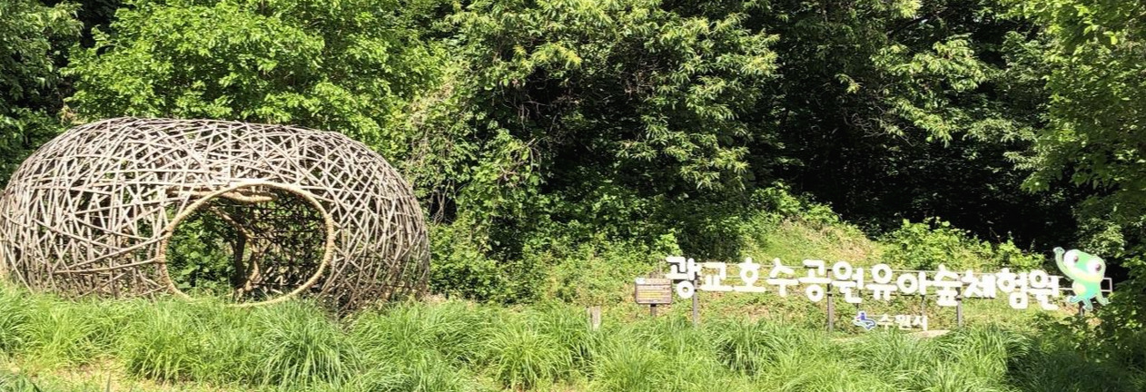 유아숲체험.jpg